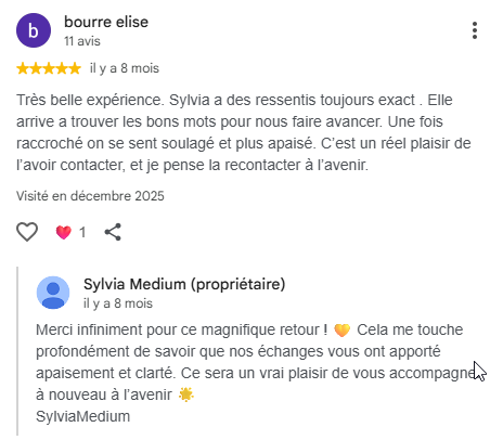 Avis Google 5 étoiles de Élise Bourre à propos des consultations de Sylvia Médium